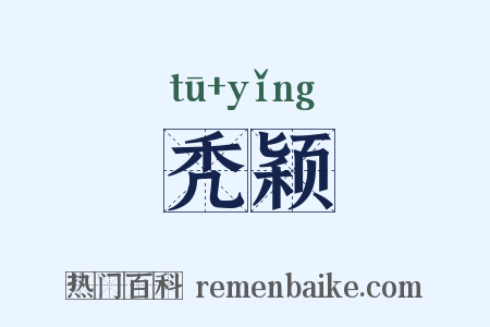 秃颖是什么意思的图片
